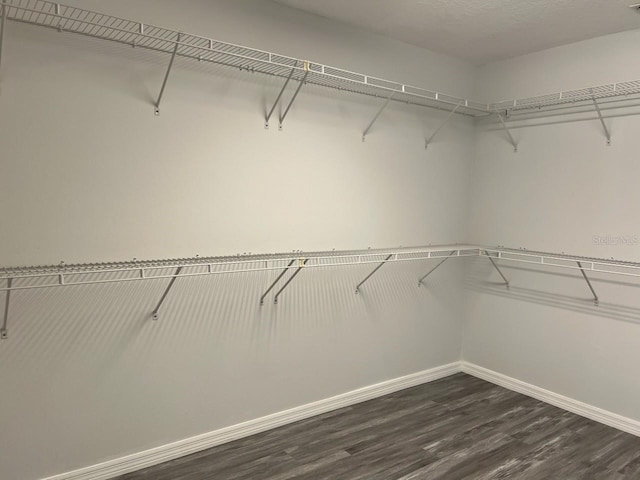 walk in closet with dark wood-type flooring