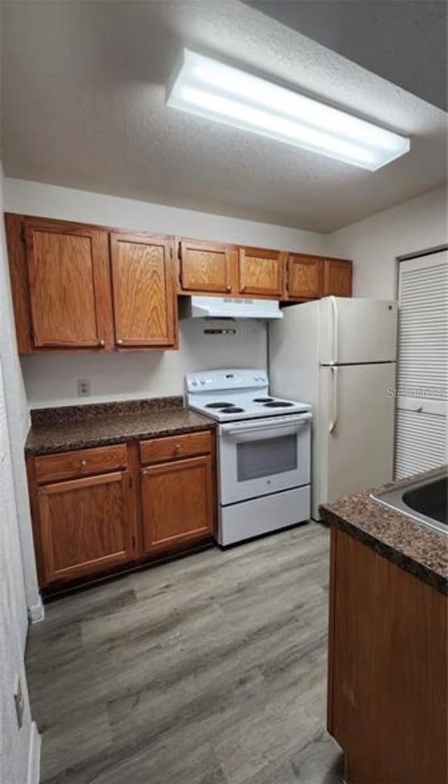 kitchen featuring light hardwood / wood-style flooring, white appliances, and sink