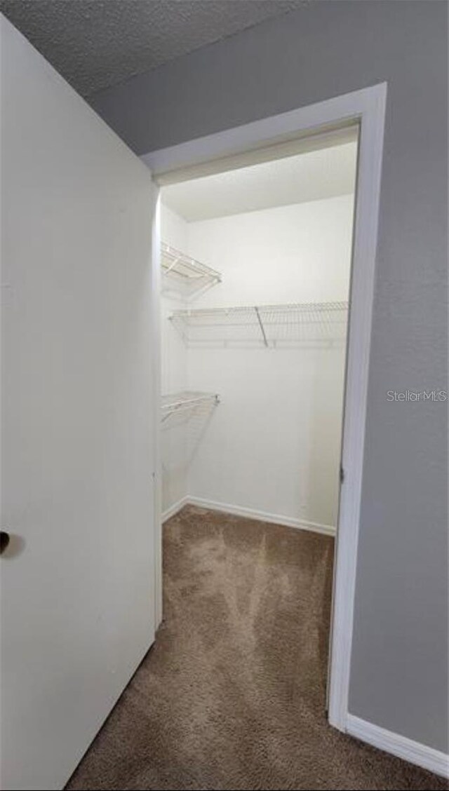 spacious closet featuring carpet flooring