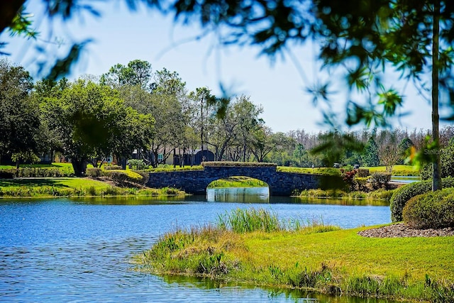 view of home's community with a water view