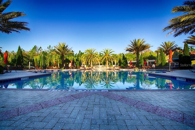 view of pool featuring a patio