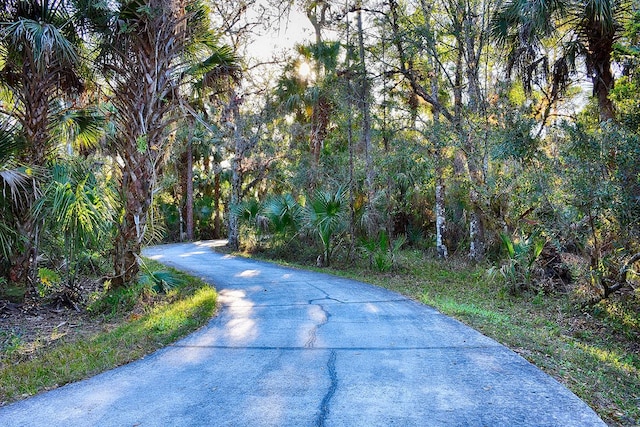 view of road