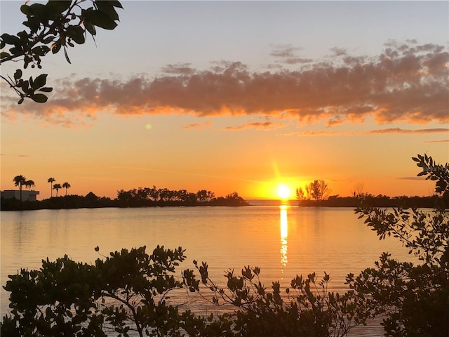 property view of water