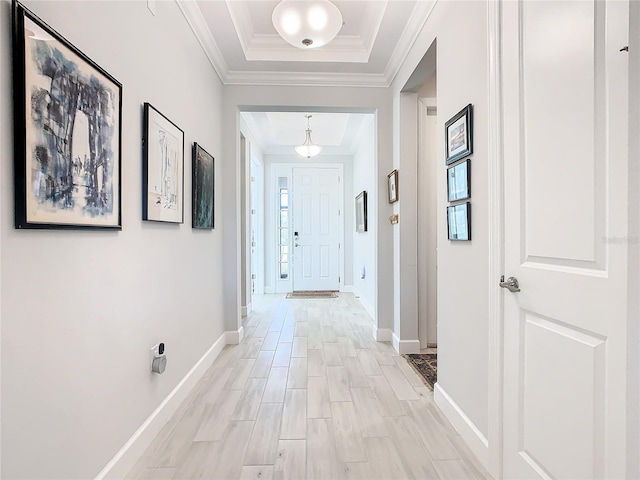 hallway with a tray ceiling, light hardwood / wood-style flooring, and ornamental molding