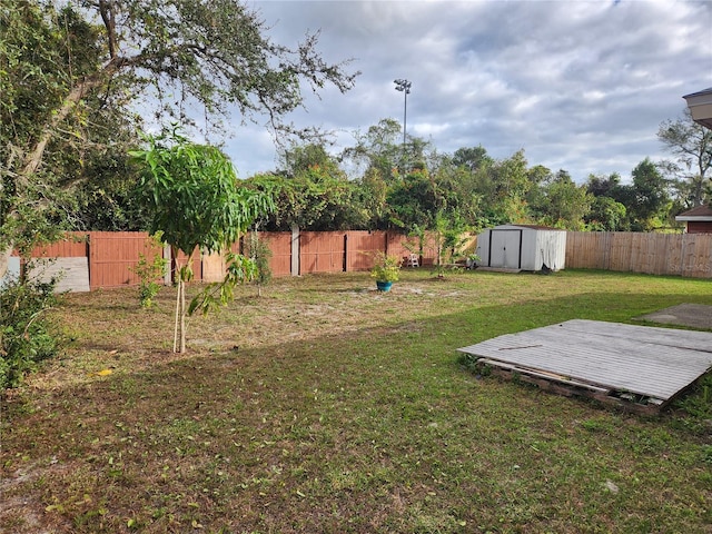 view of yard with a storage shed