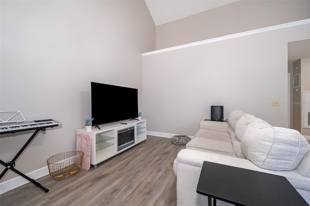 living room with lofted ceiling and wood-type flooring