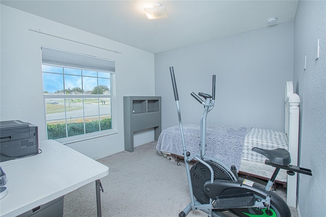 bedroom featuring light colored carpet