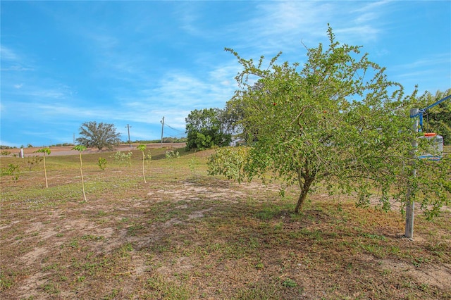 view of yard featuring a rural view