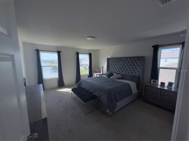 bedroom with carpet flooring and multiple windows