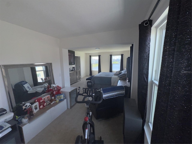 living room featuring carpet floors