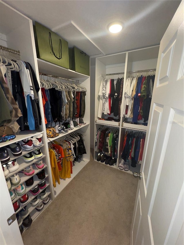 spacious closet featuring carpet