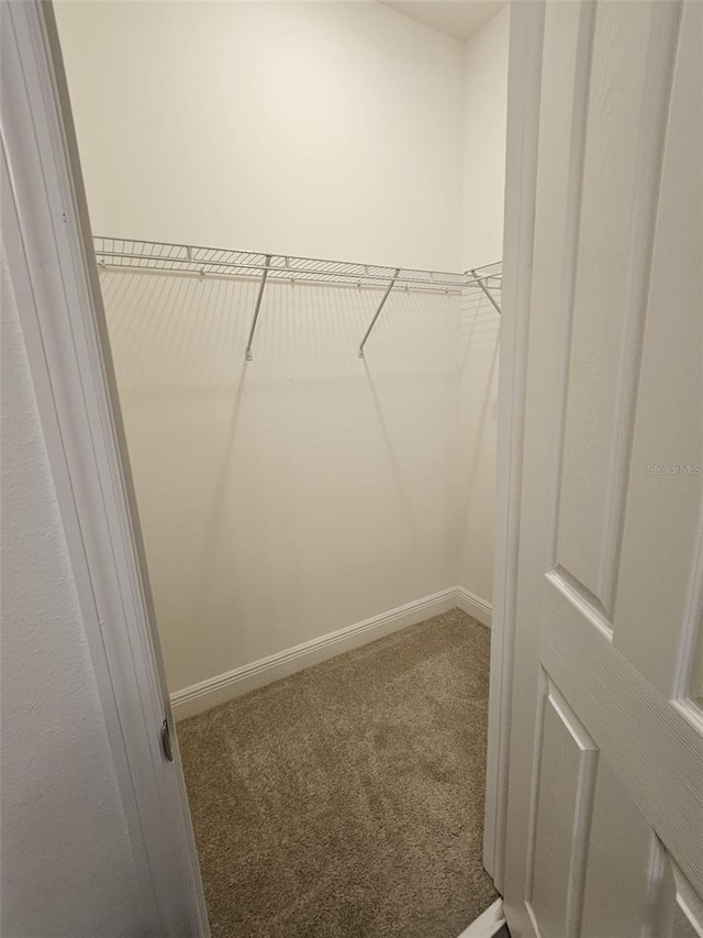 spacious closet with carpet