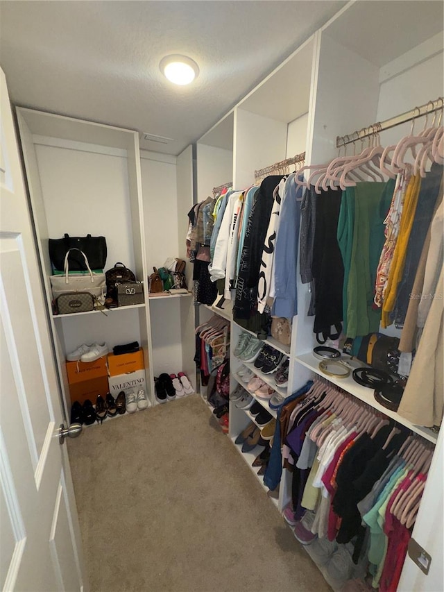 walk in closet featuring carpet floors