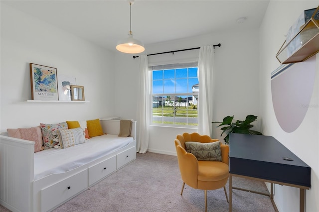 interior space featuring light colored carpet