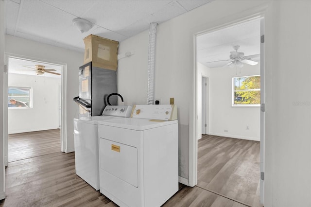 clothes washing area featuring ceiling fan, light hardwood / wood-style floors, and independent washer and dryer