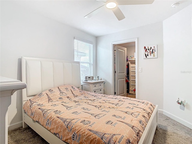 bedroom featuring a spacious closet, a closet, ceiling fan, and dark colored carpet