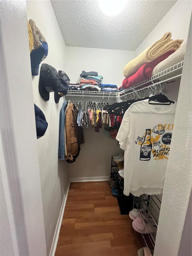 spacious closet with hardwood / wood-style flooring