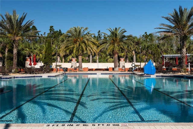 view of swimming pool