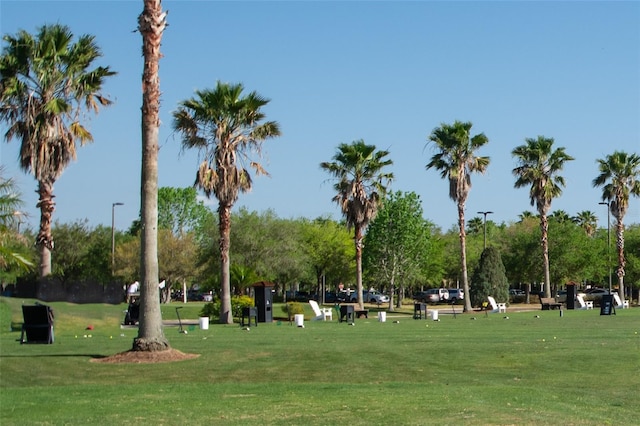 view of home's community with a yard