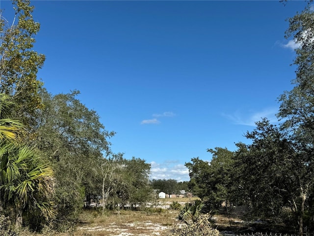 view of nature