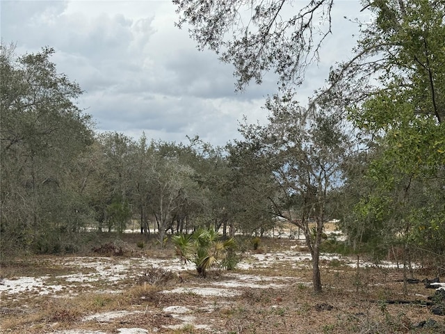 view of nature