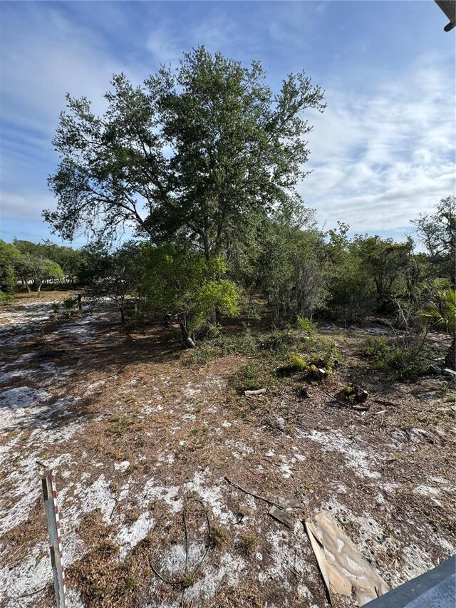 view of local wilderness
