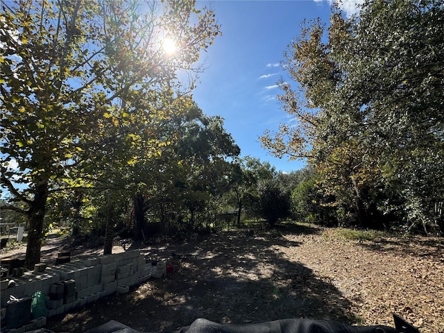 view of nature