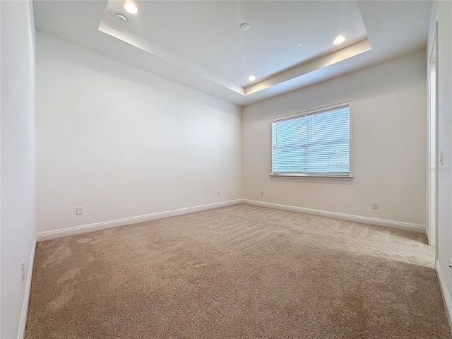 carpeted spare room featuring a raised ceiling