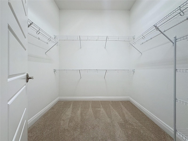 walk in closet with carpet