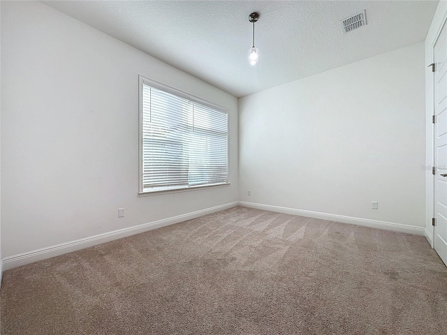 spare room with carpet and a textured ceiling