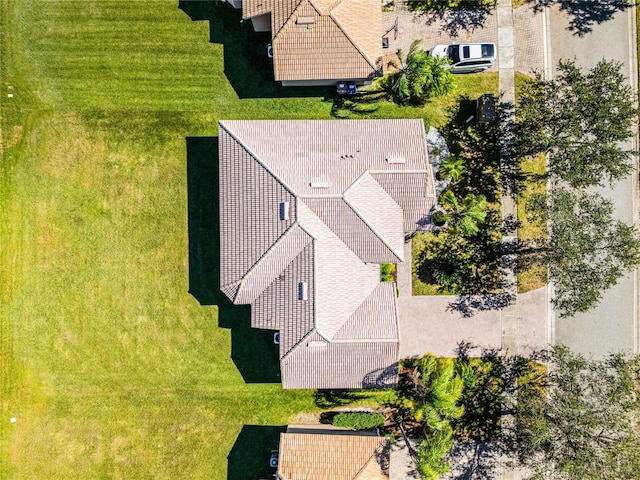 bird's eye view