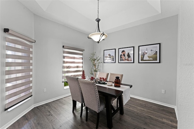 dining room with a tray ceiling and dark wood-type flooring