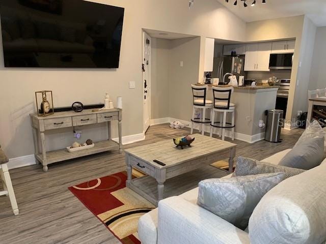 living room featuring hardwood / wood-style flooring and vaulted ceiling