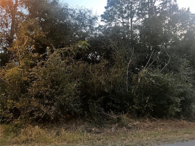 NW 19th Ln, Ocala FL, 34482 land for sale