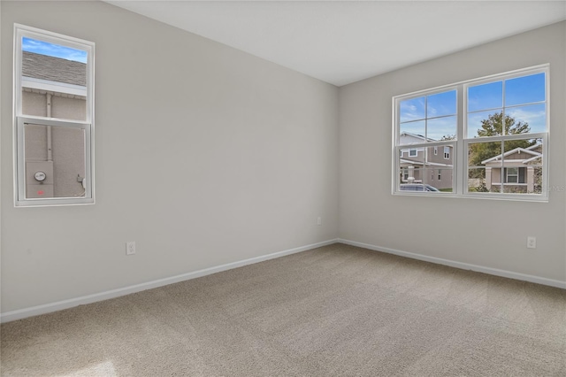 empty room featuring plenty of natural light and carpet flooring