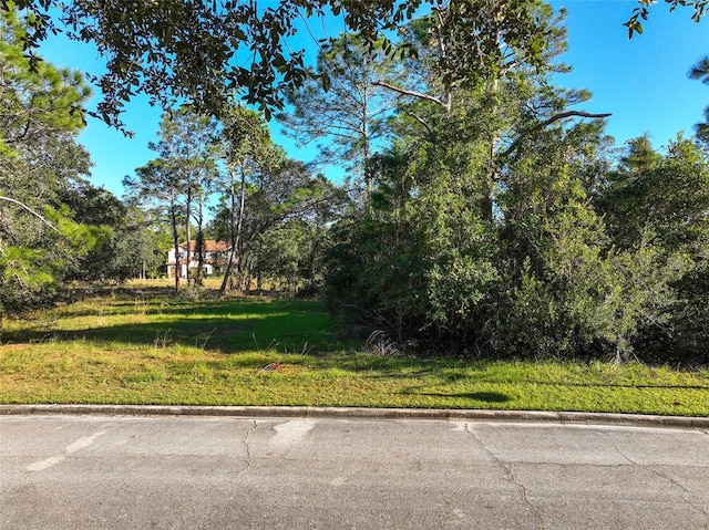 Listing photo 2 for 7180 Oak Glen Trl, Harmony FL 34773