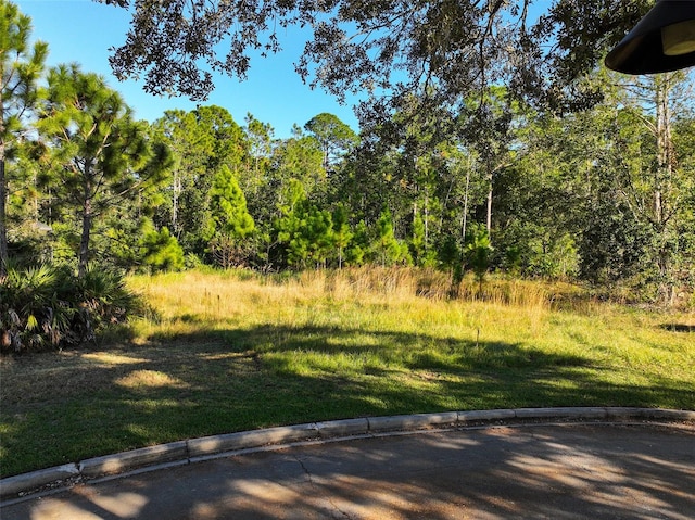 7161 Oak Glen Trl, Harmony FL, 34773 land for sale