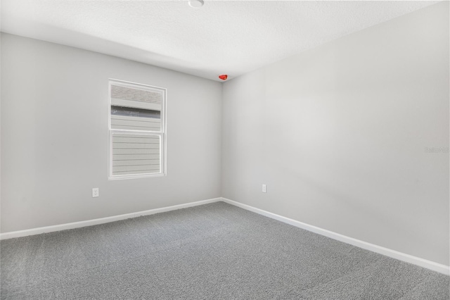 empty room featuring carpet flooring and a textured ceiling