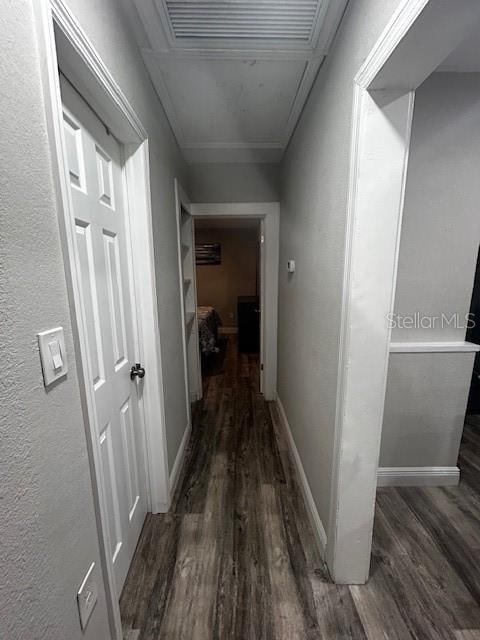 hall featuring dark hardwood / wood-style floors