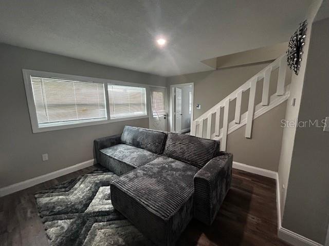 living room with dark hardwood / wood-style floors