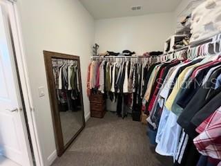 walk in closet with carpet