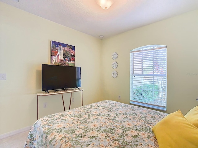 bedroom featuring carpet floors