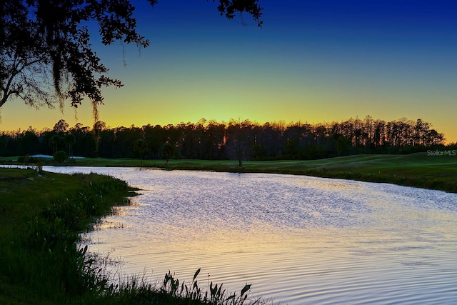 property view of water