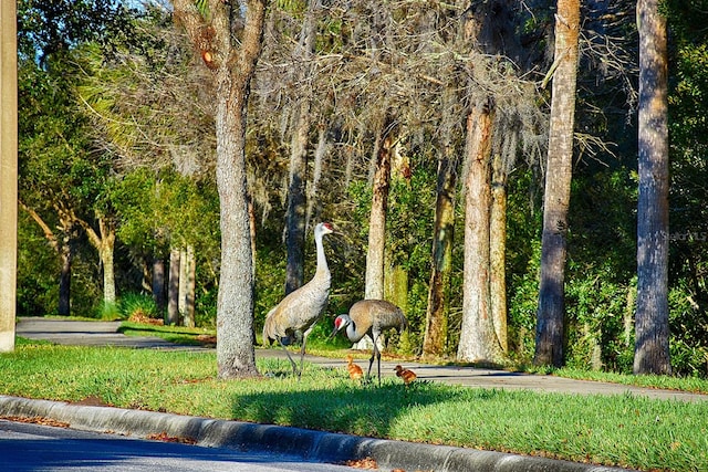 view of home's community