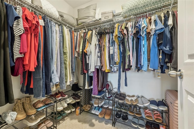 spacious closet featuring carpet floors