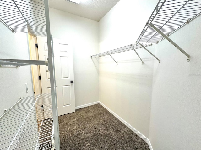 walk in closet with carpet flooring