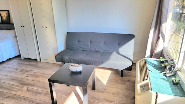 sitting room featuring light hardwood / wood-style flooring