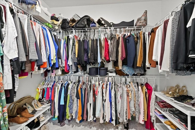 walk in closet featuring carpet floors