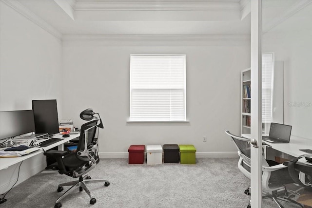 13795 SW 137th Ct, Newberry, FL 32669 - office space featuring carpet floors, ornamental molding, and a raised ceiling