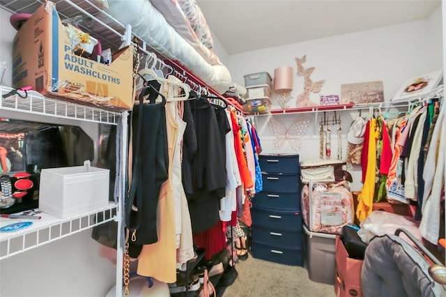 spacious closet featuring carpet floors